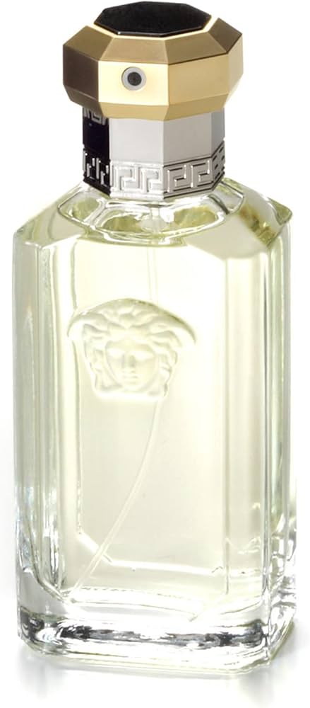 Amazon.com : The Dreamer by Versace for Men - 1.7 oz EDT Spray