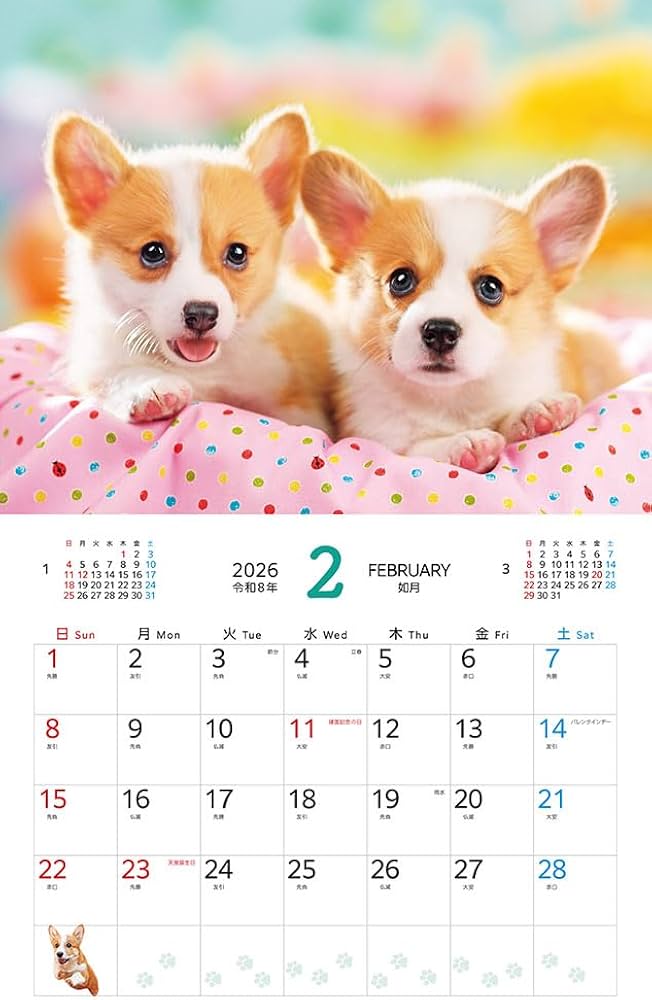 カレンダー2026 癒やしのウェルシュ・コーギー（月めくり/壁掛け/600mm