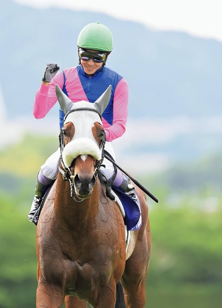 メイショウタバル ポストカードブック | サンケイスポーツ |本 | 通販