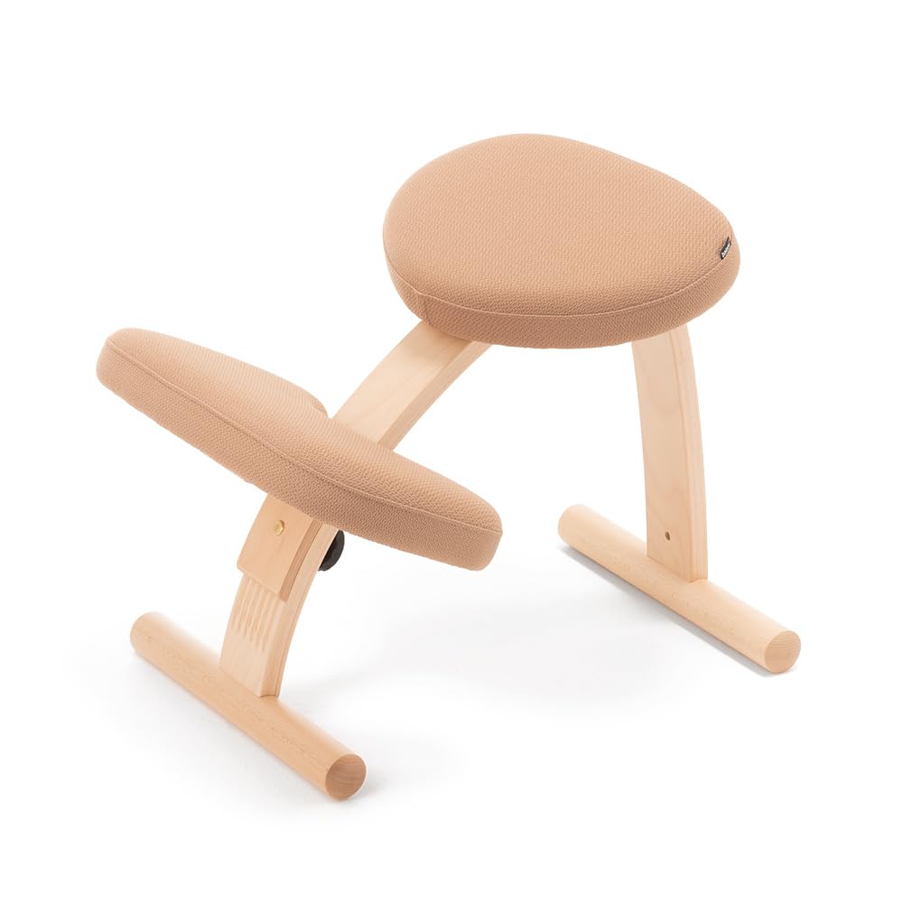 Amazon.co.jp: バランスラボ バランスイージー ショートフレーム 通常