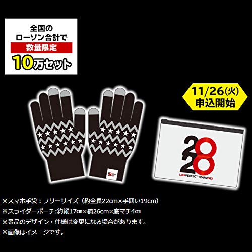 Amazon.co.jp: LDH PERFECT YEAR 2020 コラボグッズ スマホ手袋＋