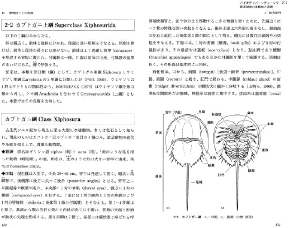 節足動物の多様性と系統 (バイオディバーシティ・シリーズ