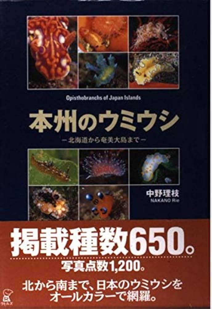 本州のウミウシ―北海道から奄美大島まで | 中野 理枝 |本 | 通販 | Amazon