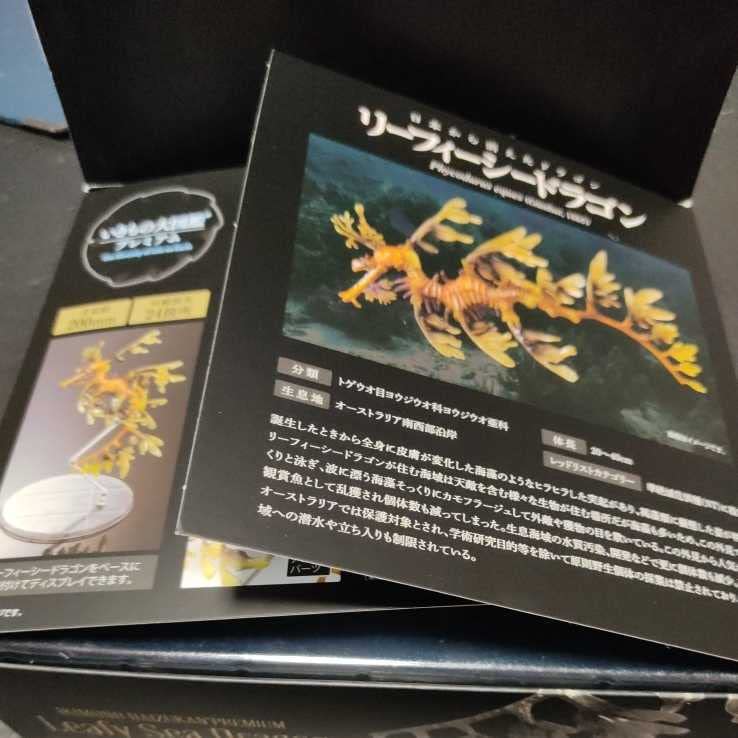 Amazon.co.jp: プレミアム限定 いきもの大図鑑プレミアム リーフィー