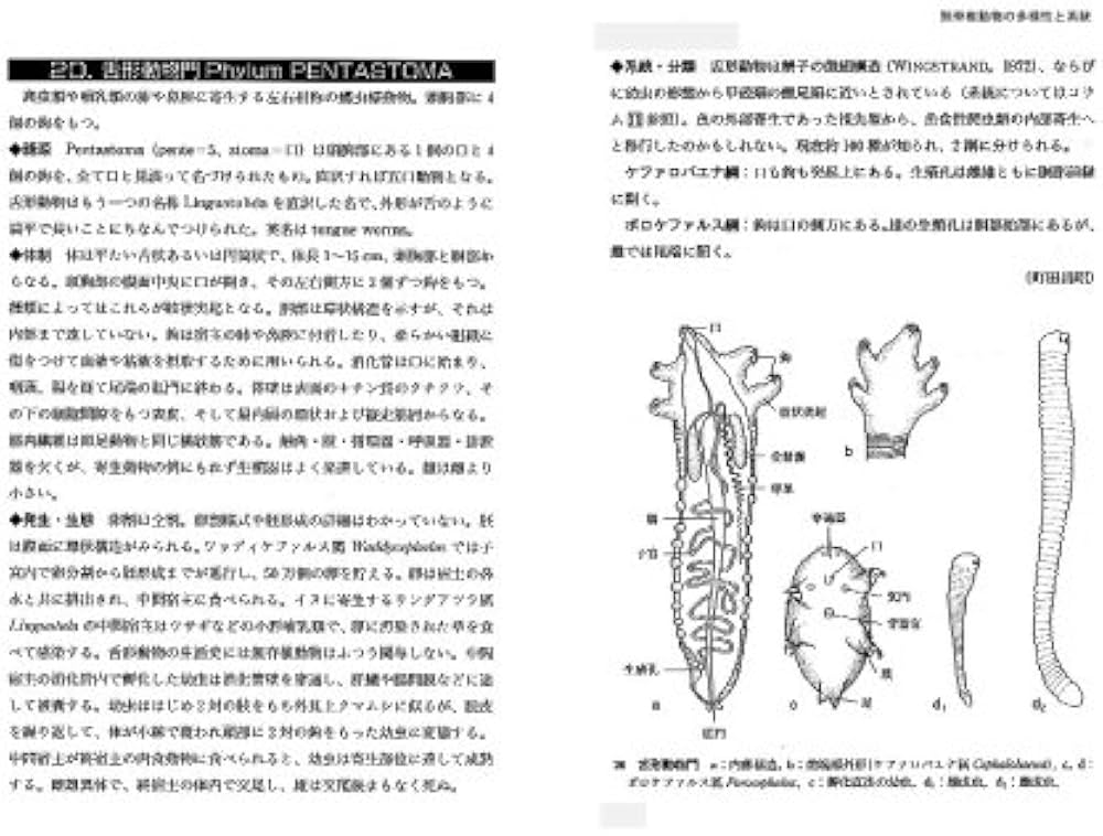 無脊椎動物の多様性と系統(節足動物を除く) (バイオディバーシティ