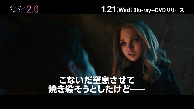 DVD Blu-ray ハロウィン ミーガン 死霊館 ソウ 好きにオススメ
