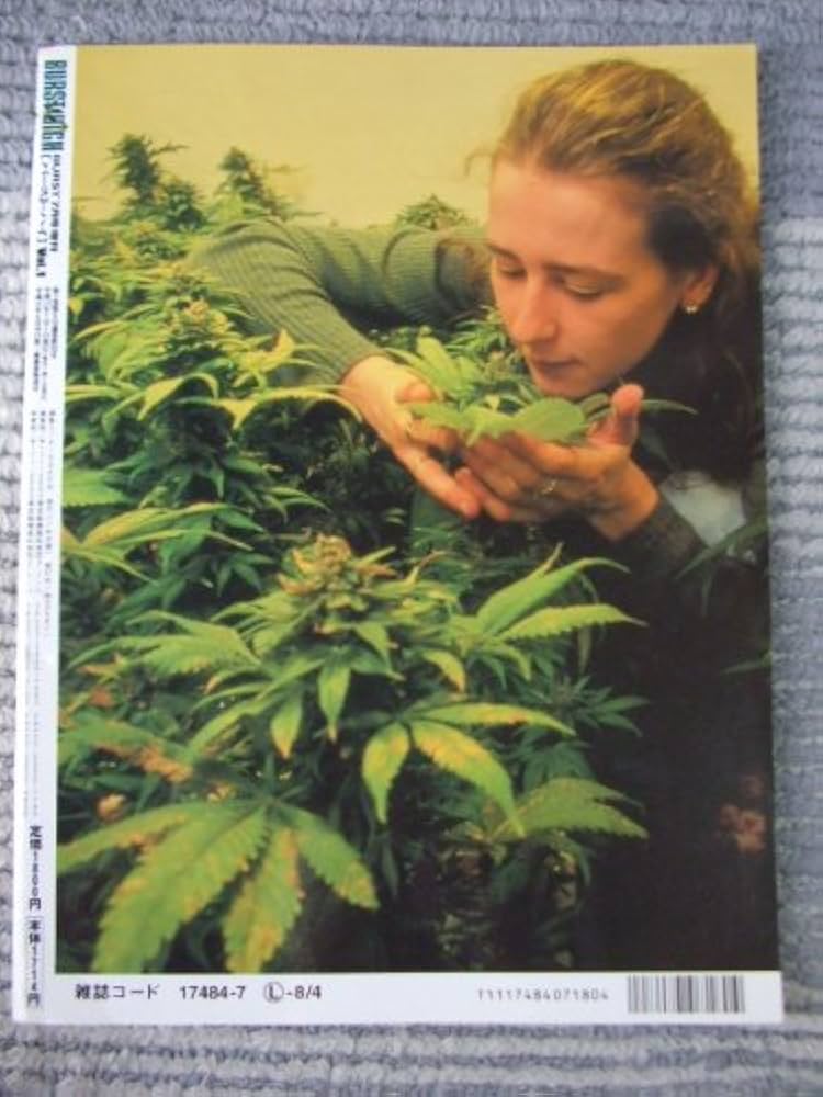 バースト ハイ BURST HIGH Vol.1 「BURST 7月号増刊」 (BURST HIGH