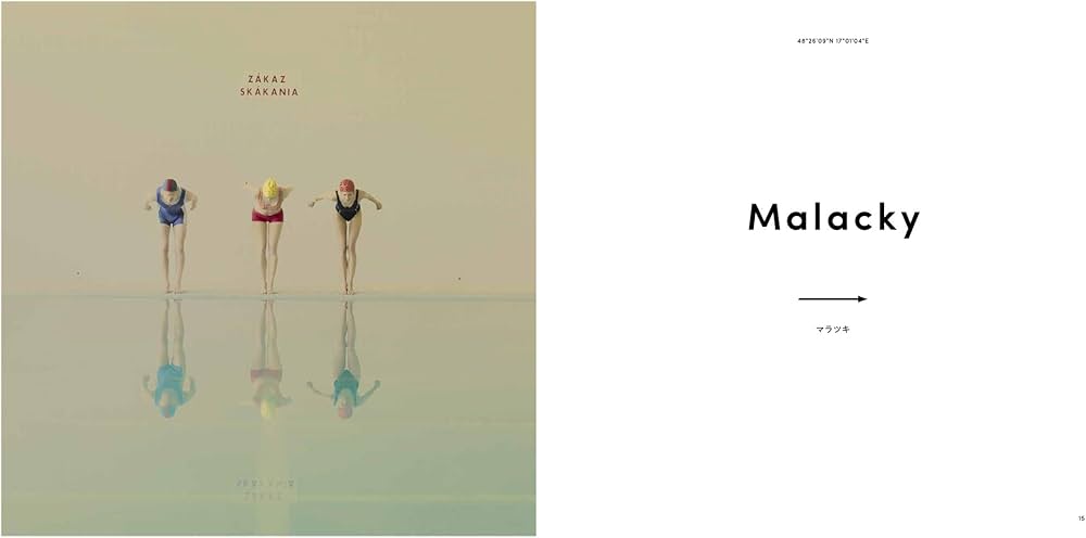 Swimming Pool | マーリア・シュヴァルボヴァー |本 | 通販 | Amazon