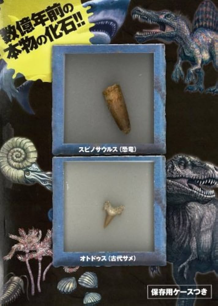Amazon.co.jp: 神秘の化石COLLECTION スピノサウルス(恐竜)+オトドゥス
