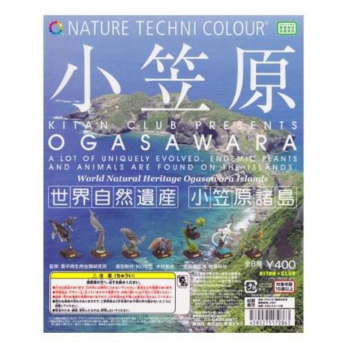 Amazon.co.jp: ネイチャーテクニカラー 小笠原 世界自然遺産 小笠原