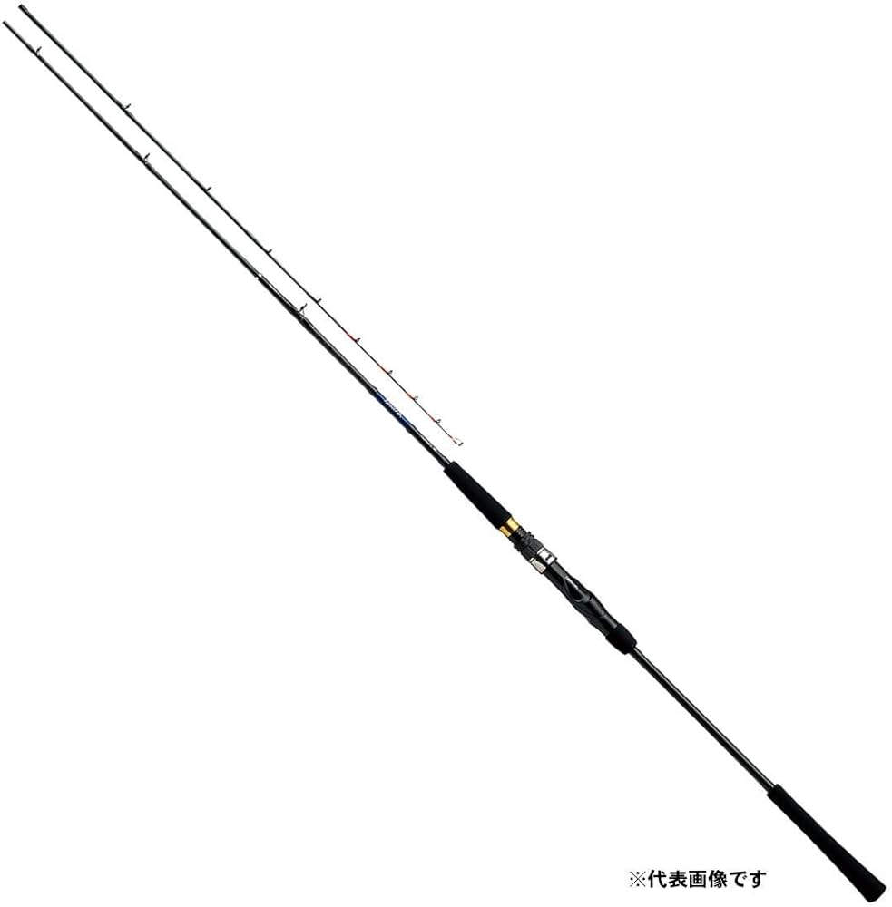 Amazon | ダイワ(DAIWA) 船竿 タチウオ X 210 釣り竿 | ダイワ(DAIWA