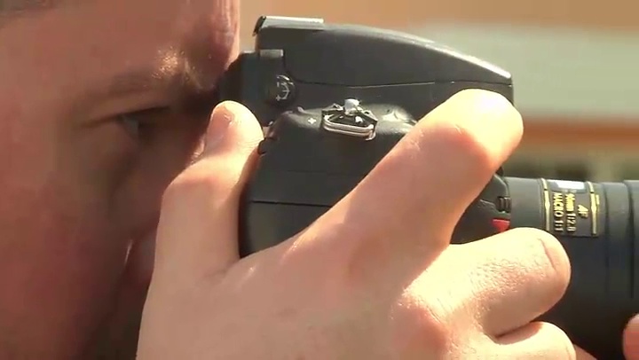 Amazon.com : Tamron AF 90mm f/2.8 Di SP AF/MF 1:1 Macro Lens for