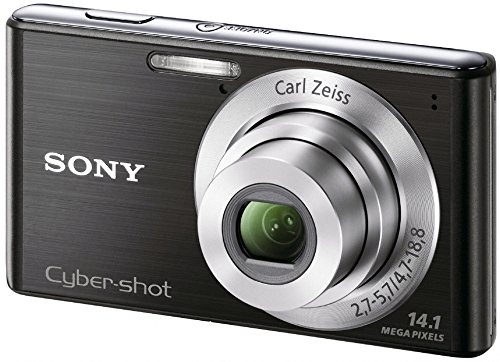 Amazon.co.jp: Sony Digital Camera Cyber-Shot(Cyber-Shot) W530 14.1