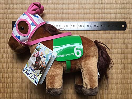 Amazon.co.jp: ハルウララ ぬいぐるみ 高知競馬 : おもちゃ