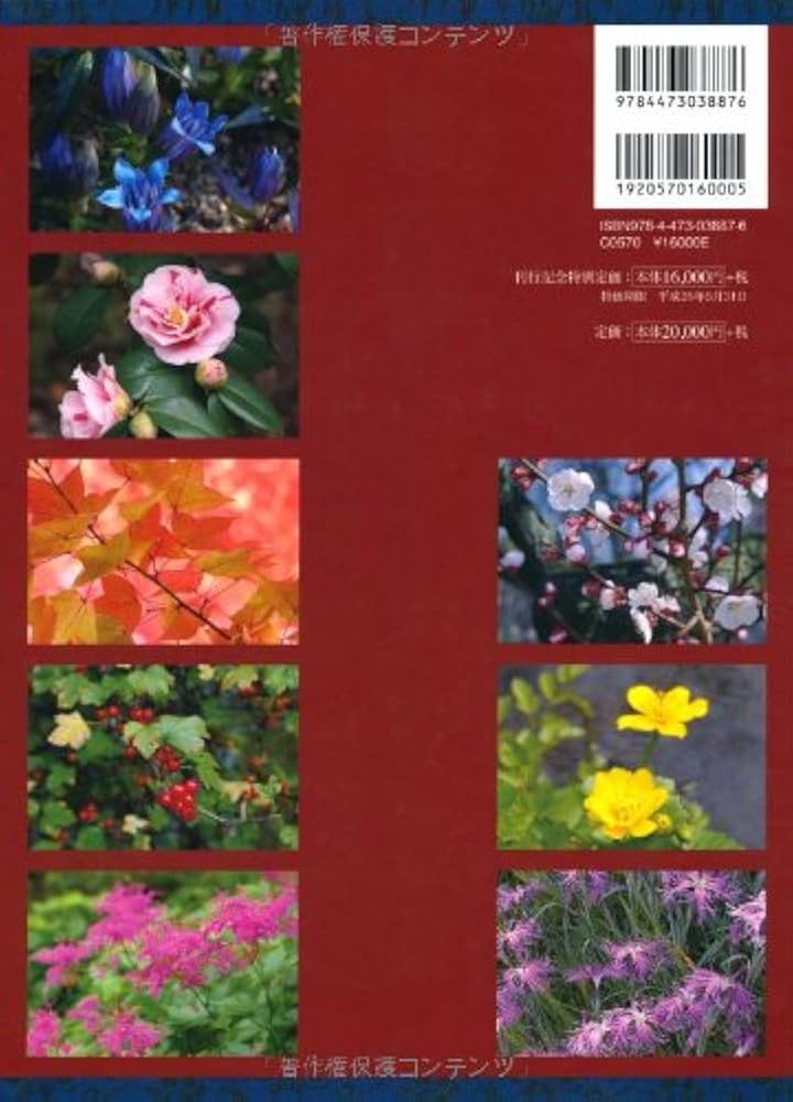 Amazon.co.jp: 新版 茶花大事典 : 塚本洋太郎: 本