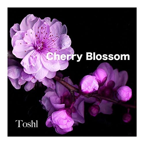 ToshI CHERRY BLOSSOM 邦楽 CD ToshI CHERRY BLOSSOM 邦楽 CD Amazon