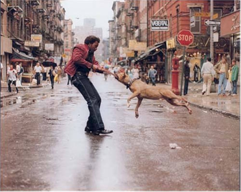 A Time Before Crack: Jamel Shabazz, Claude Grunitsky, James Koe
