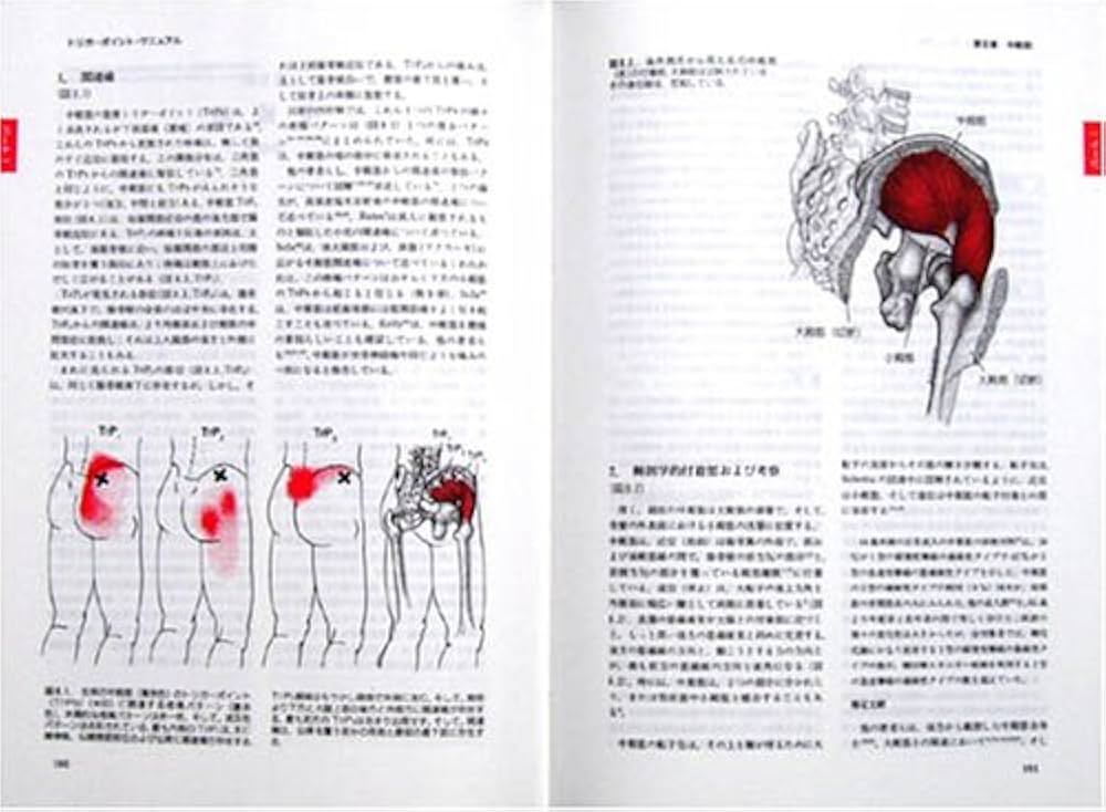 Amazon.co.jp: トリガーポイント・マニュアルIII IV : ジャネット