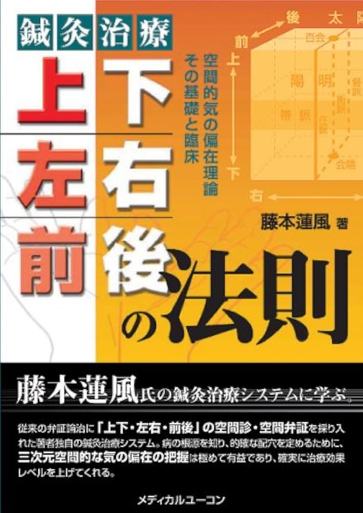 鍼灸治療 上下・左右・前後の法則―空間的気の偏在理論その基礎と臨床