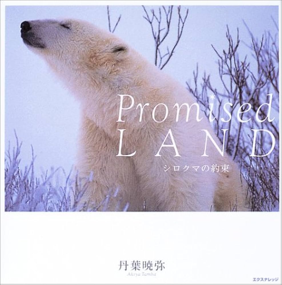 Promised LANDシロクマの約束(写真集) | 丹葉 暁弥 |本 | 通販 | Amazon