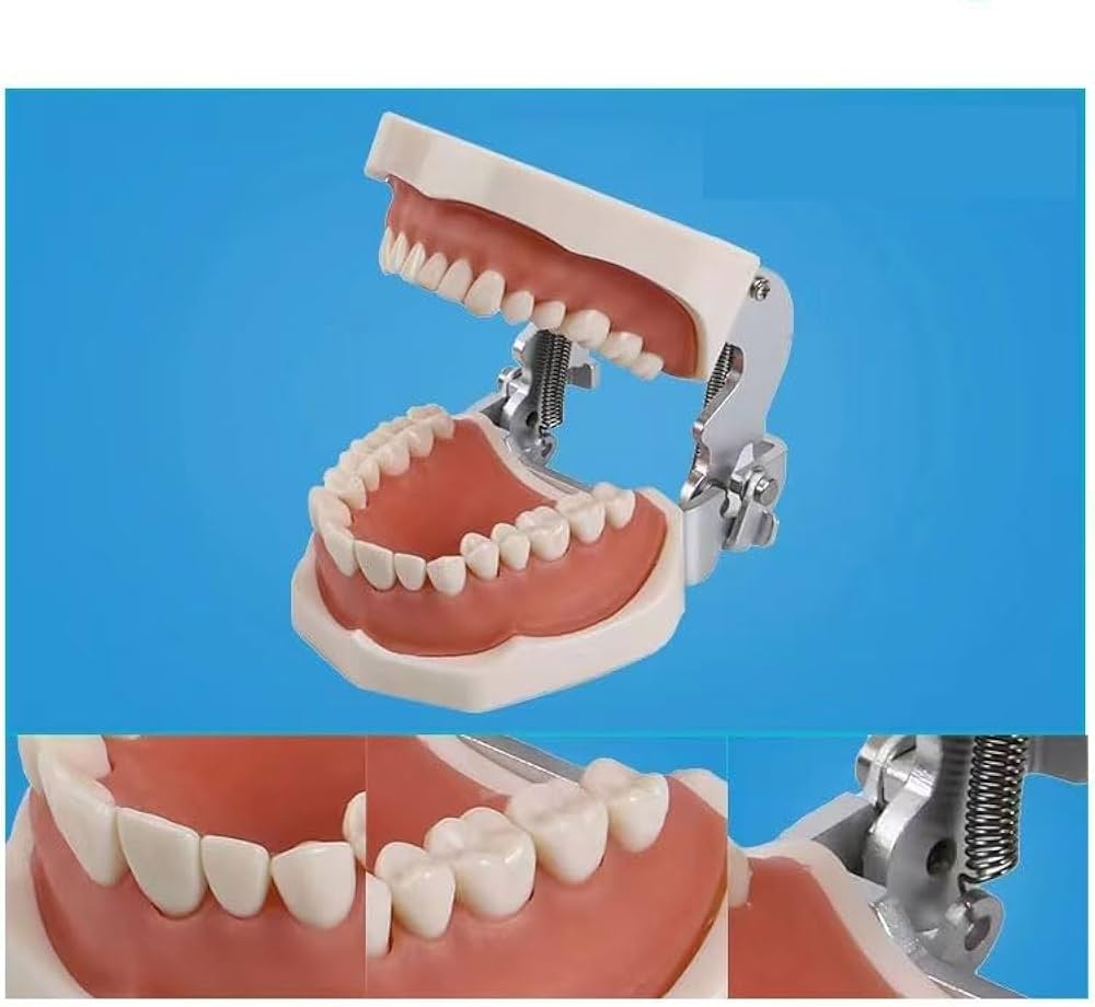 Amazon.co.jp: 歯科用歯内ラバーダムキット、ラバーダムパンチボード