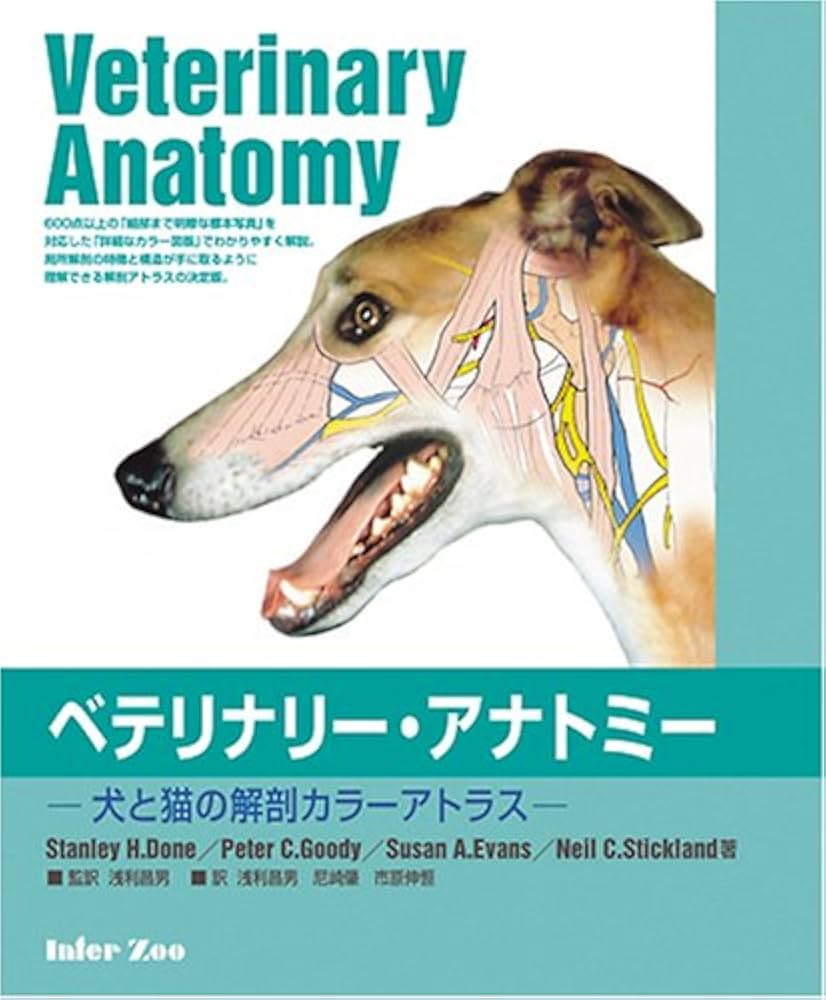Amazon.co.jp: ベテリナリ-・アナトミ-: 犬と猫の解剖カラ-アトラス
