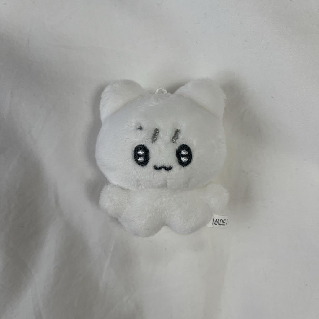 Amazon.co.jp: nct dream ロンジュン マスター ドール ぬいぐるみ 7cm