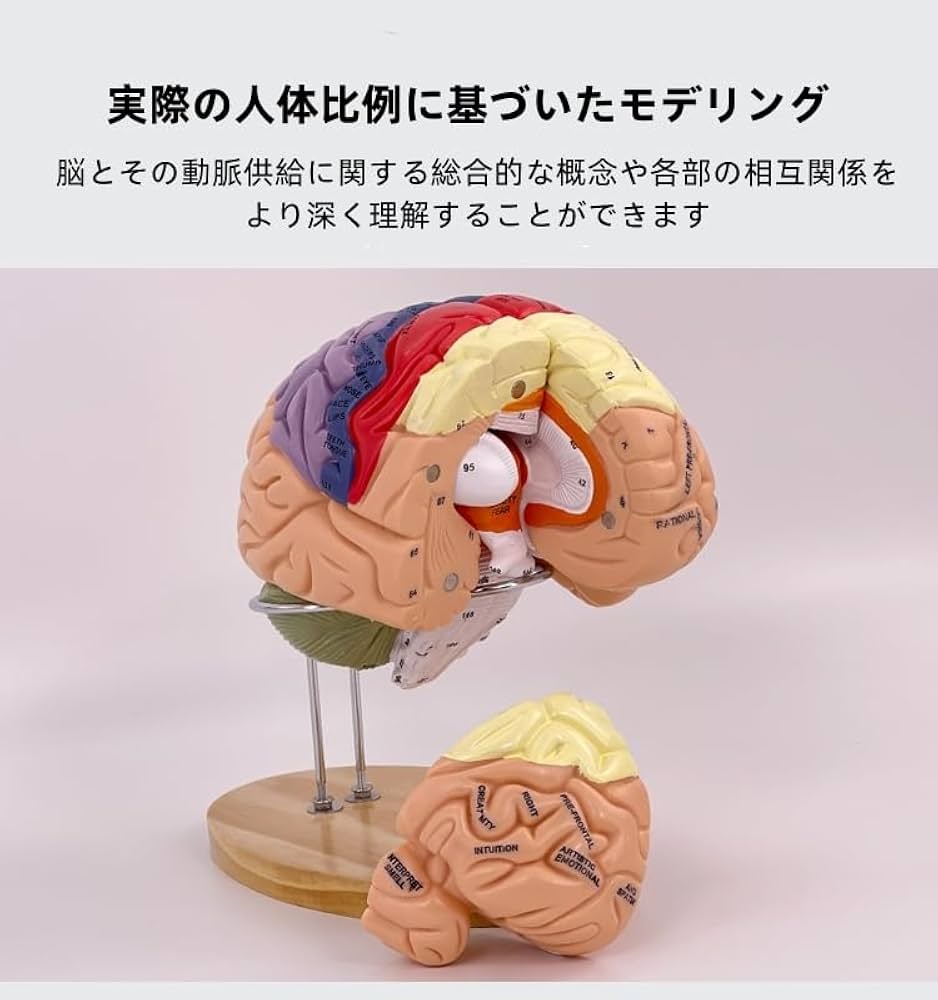 51b3RMAgHWL._AC_UF1000,