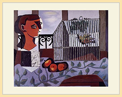Amazon.co.jp: ピカソ・「鳥籠」 プリキャンバス複製画・ 額付き