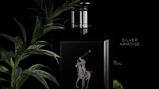 Amazon.com: Ralph Lauren FRAGRANCES Polo Black - Eau de Toilette