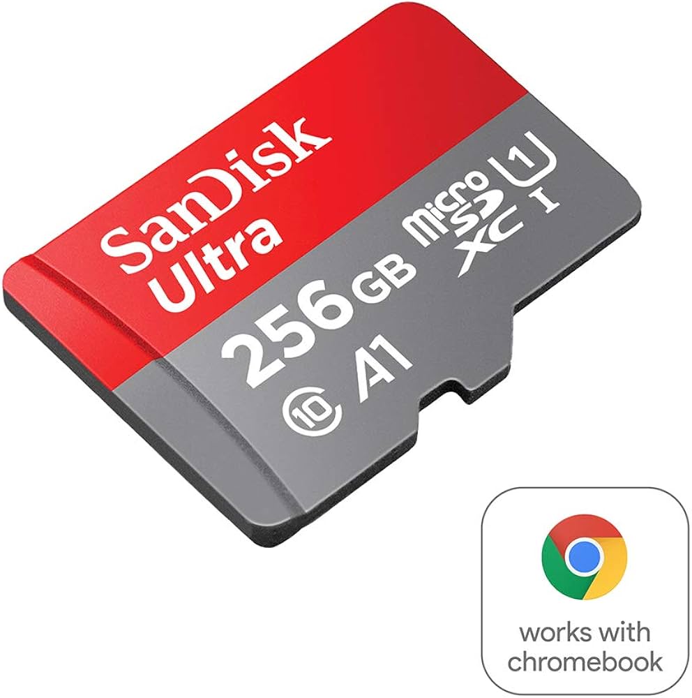 Amazon | サンディスク microSD 256GB UHS-I Class10 Nintendo Switch