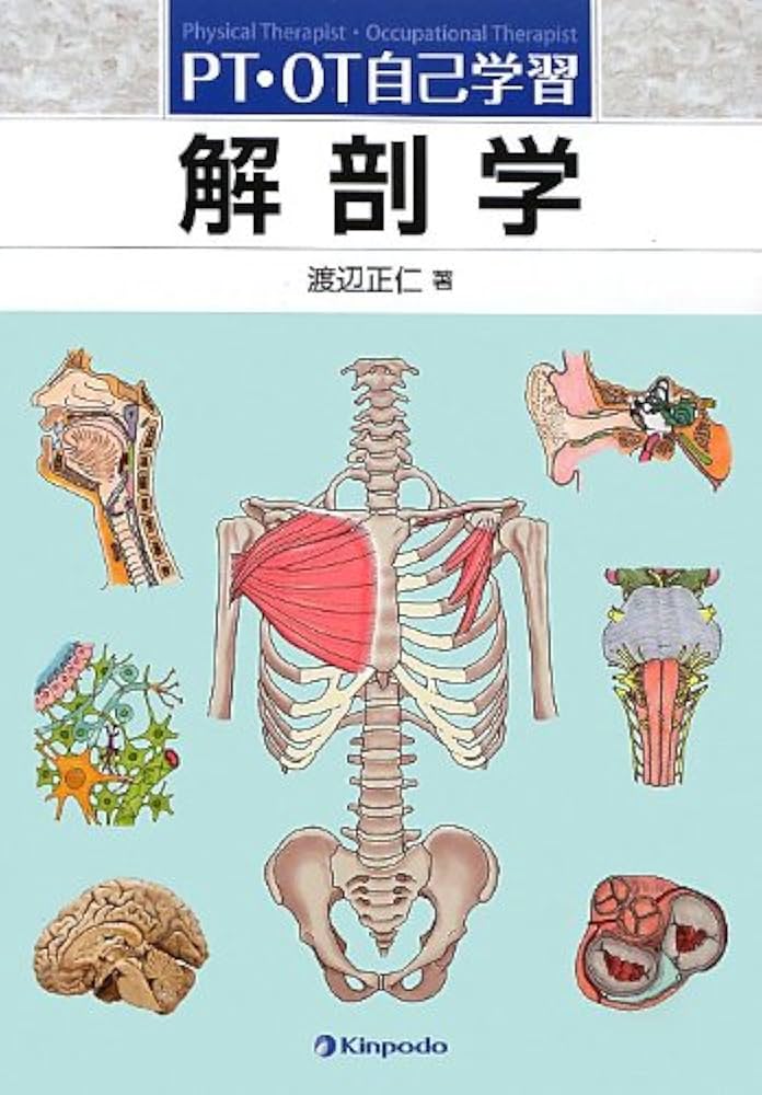 PT・OT自己学習 解剖学 | 渡辺正仁 |本 | 通販 | Amazon