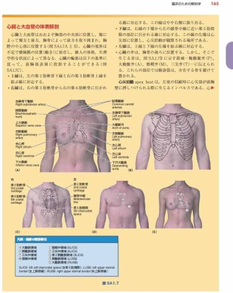 Amazon.co.jp: 臨床のための解剖学 : 佐藤達夫, 佐藤達夫, 坂井建雄