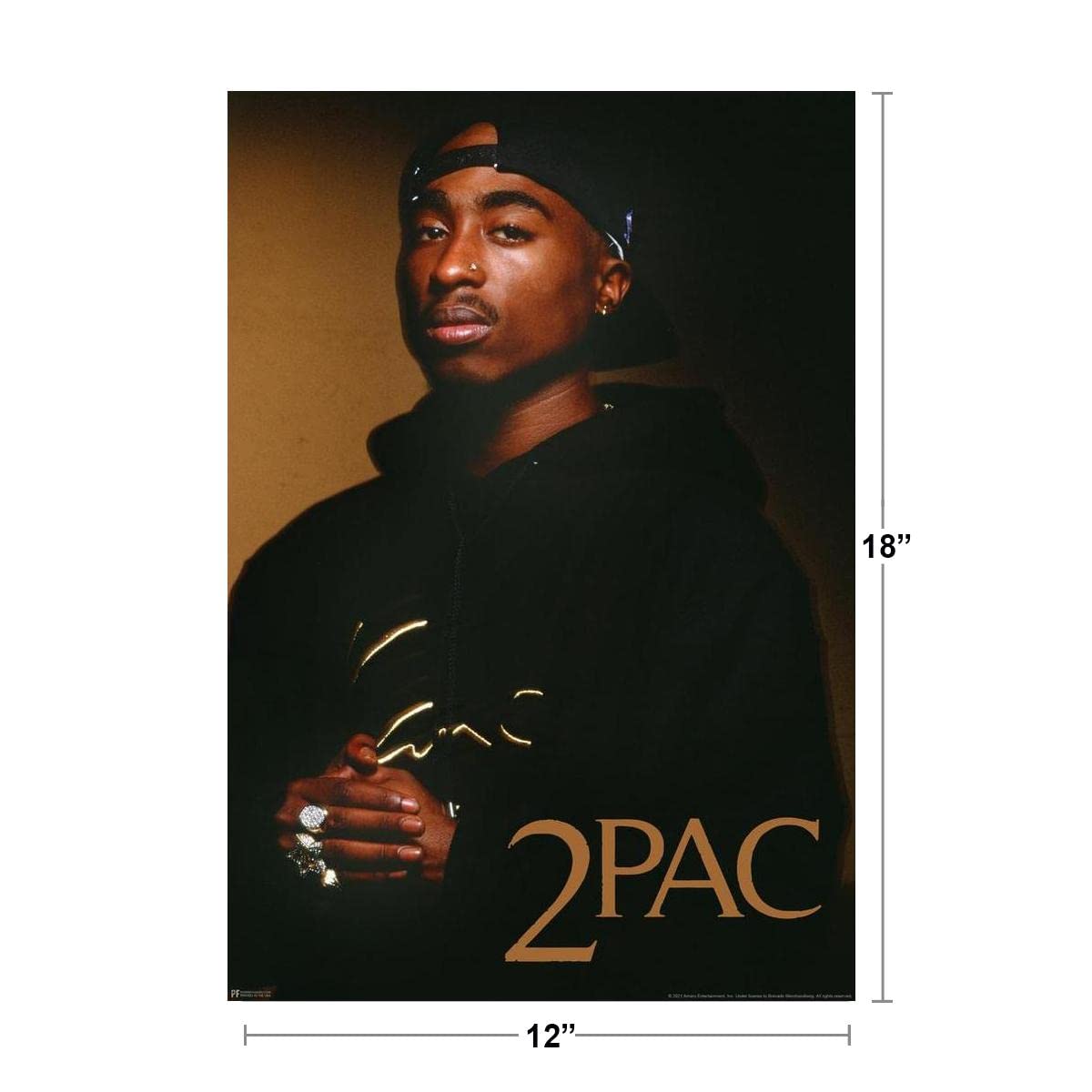 Amazon.com: Tupac Poster 2Pac Hoodie Photo Rap 90s Hip Hop 2 Pac