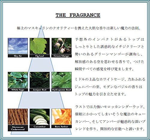 Amazon.co.jp: パリス ヒルトン パリス・ヒルトン パリス ヒルトン