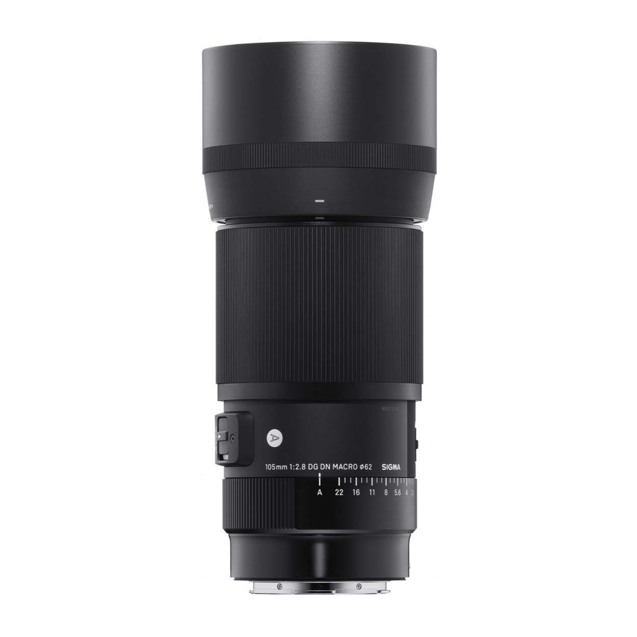 Amazon.com : Sigma 105mm F2.8 DG DN Macro Art (L-mount) : Electronics