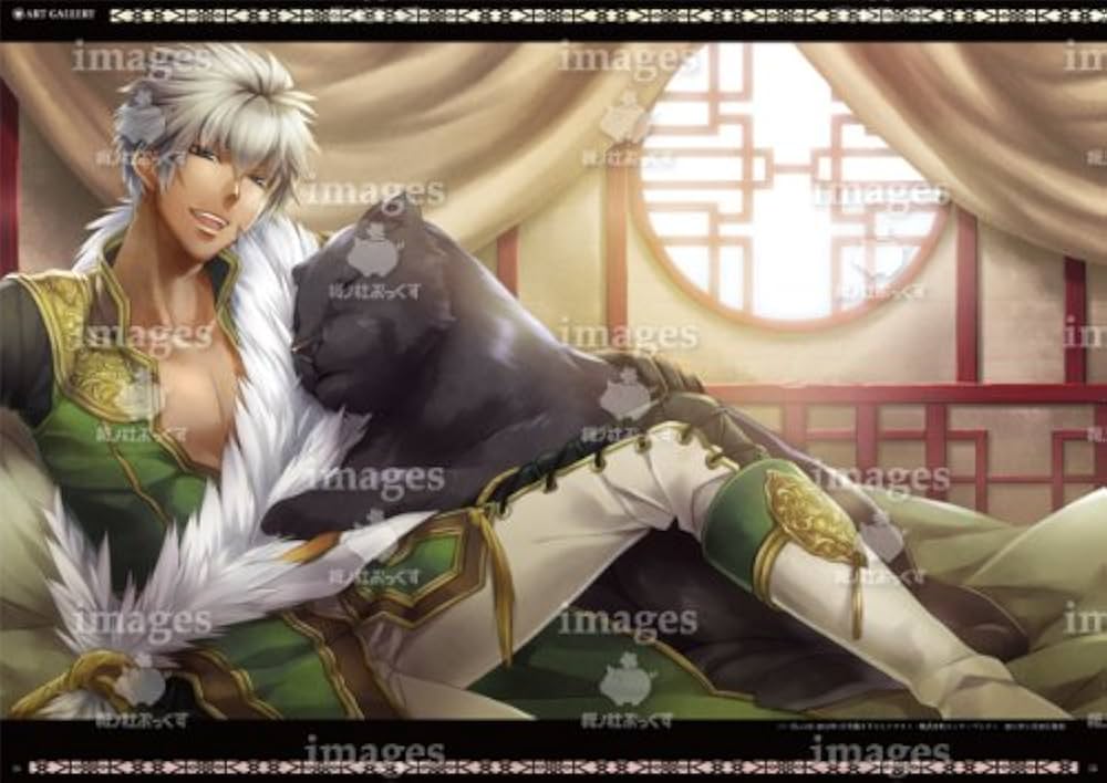 Amazon.co.jp: 十三支演義 〜偃月三国伝〜 原画集 : 悌太, 悌太