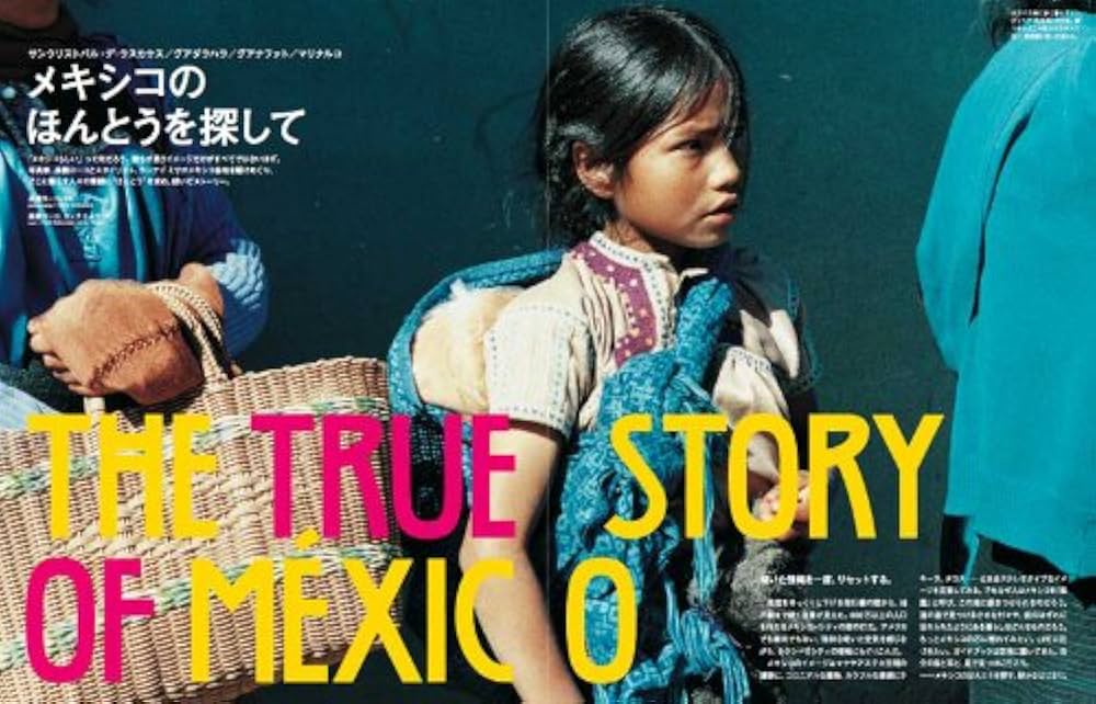 TRANSIT（トランジット）11号 永久保存版！ メキシコにときめいて