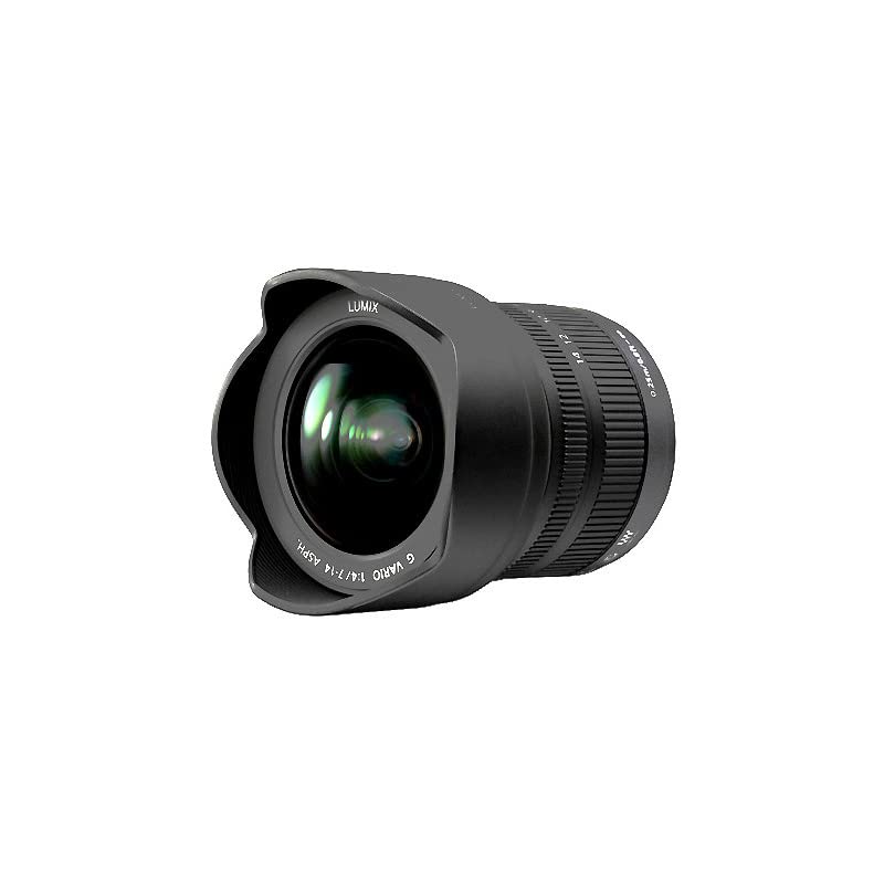 Amazon.com : Panasonic H-F007014E LUMIX G Vario 7-14mm F4.0 ASPH