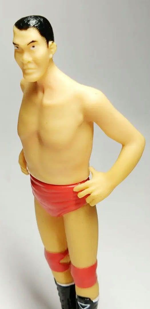 Amazon.co.jp: ジャイアント馬場 全日本プロレス リアルフィギュア