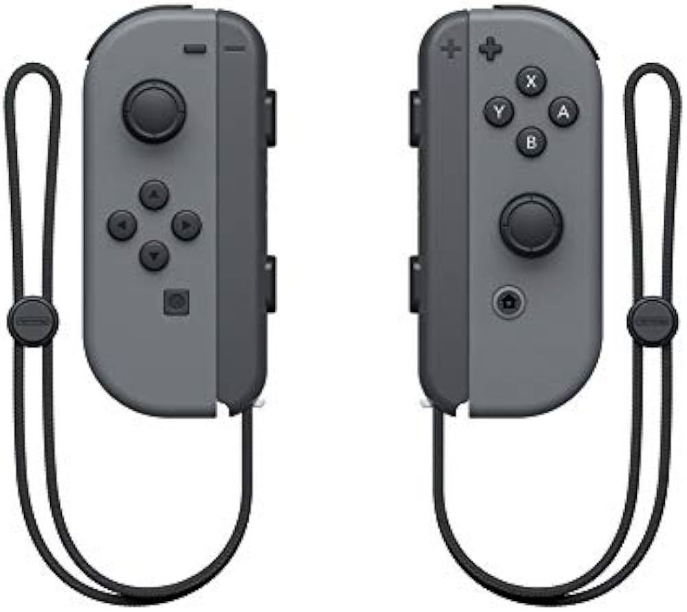 Amazon.com: Nintendo Switch with Gray Joy‑Con