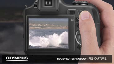 Amazon.com : OM SYSTEM OLYMPUS SP-800UZ 14MP Digital Camera with