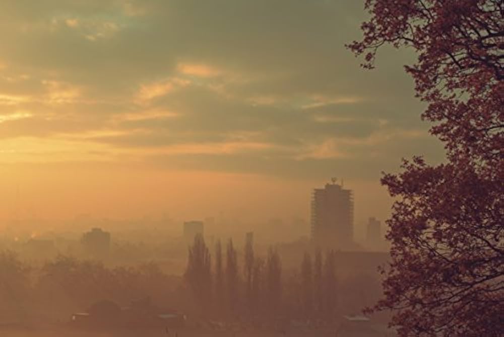 Amazon | Guys, Light, and Nature (Portfolio1000) | Moncayo | Erotica