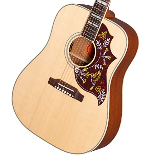 Amazon | Gibson/Hummingbird Faded Antique Natural ギブソン