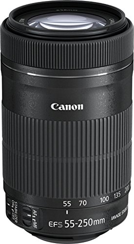 Amazon.com : Canon EF-S 55-250mm f/4-5.6 IS STM Telephoto Zoom