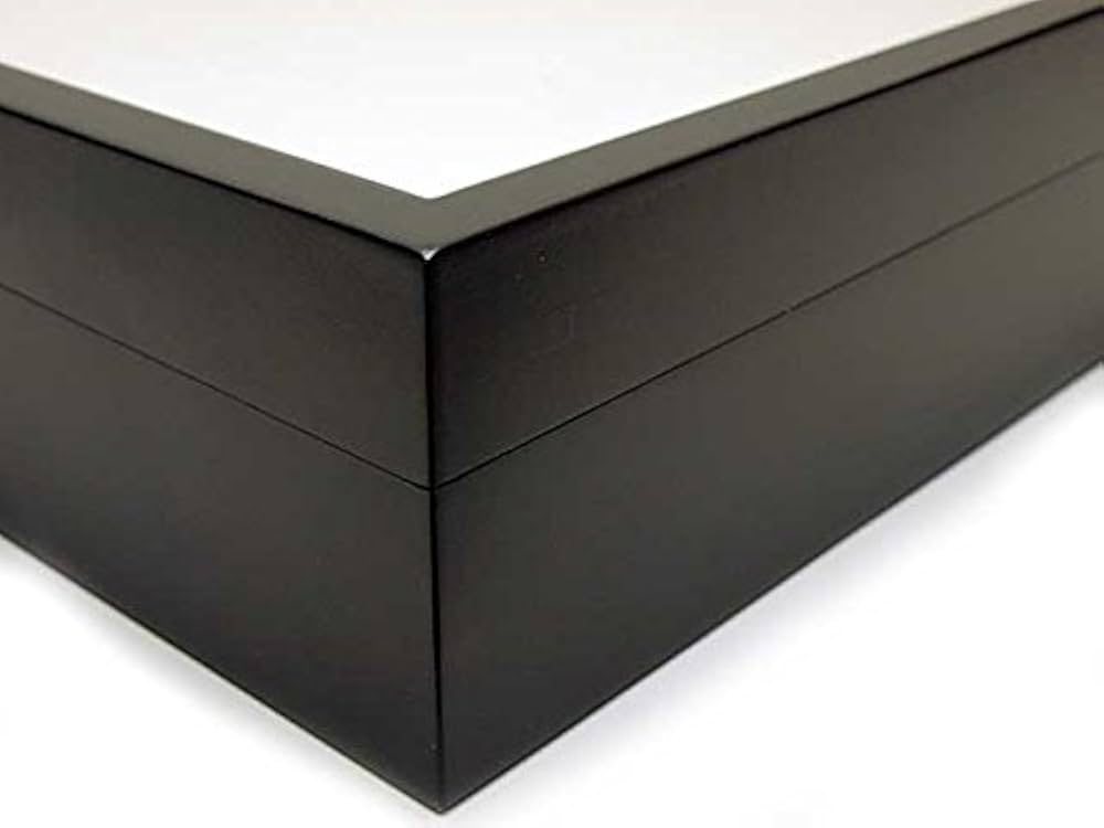 Amazon.co.jp: 【UVカット】中型ドイツ型標本箱（黒） : おもちゃ