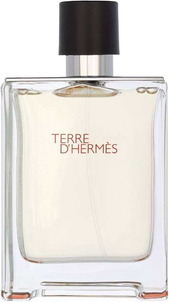 Amazon.com : Terre D' Hermes Eau De Toilette Spray for Men by
