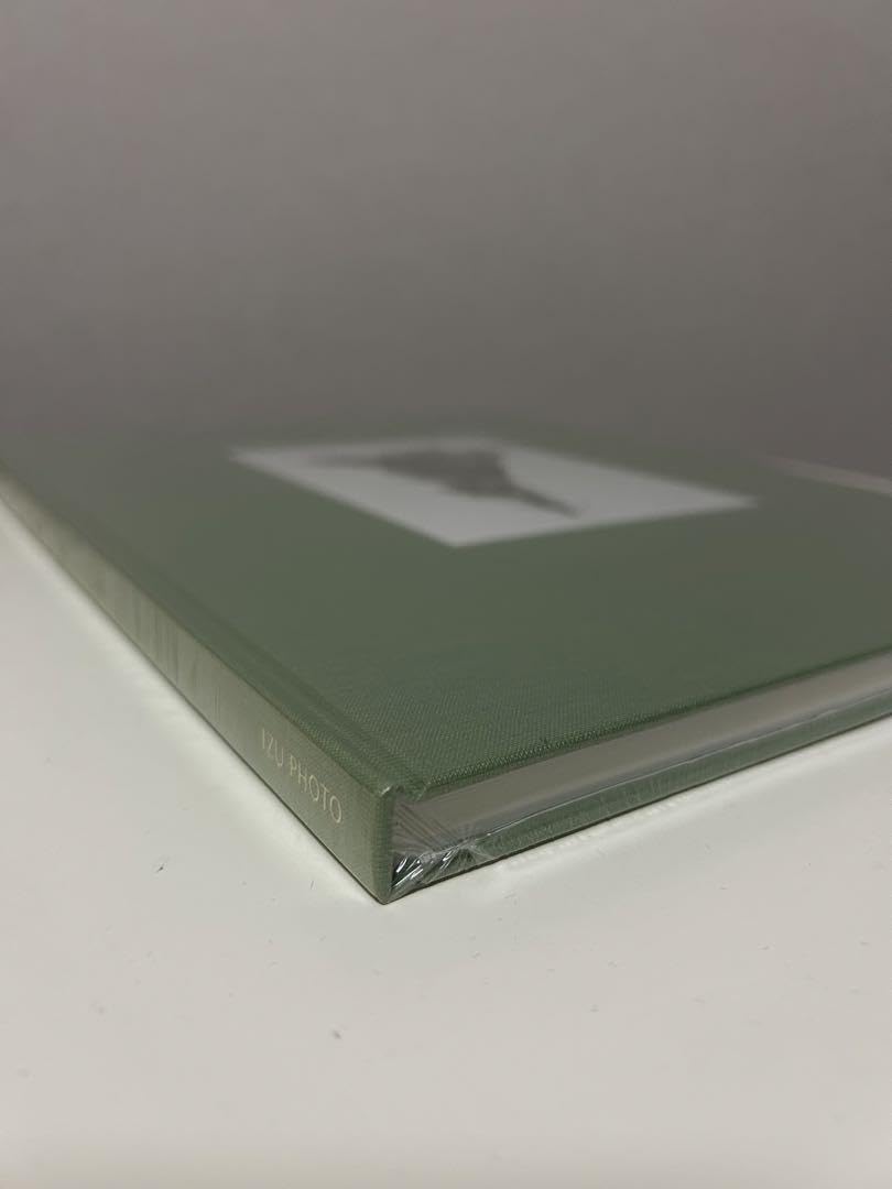 Amazon.co.jp: テリワイフェンバック Terri Weifenbach The May Sun