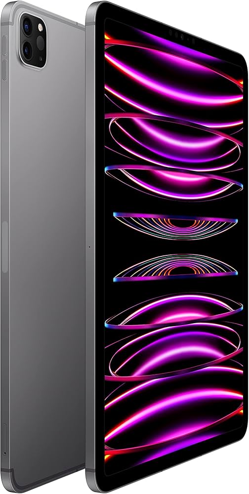 Apple 2022 11-inch iPad Pro (Wi-Fi + Cellular, 256GB) - Space Gray