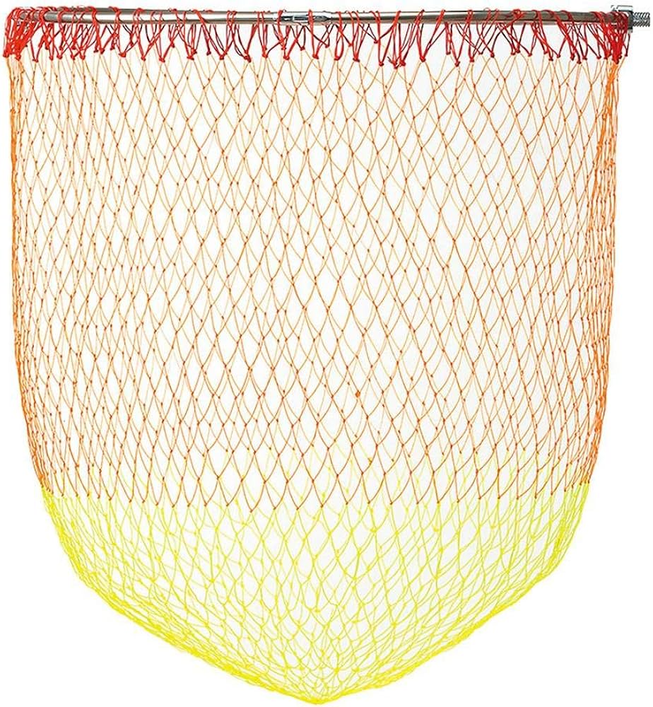 Amazon | ダイワ(DAIWA) 玉網(タモ)用 磯玉枠 網付き(A) 4-45 | ダイワ